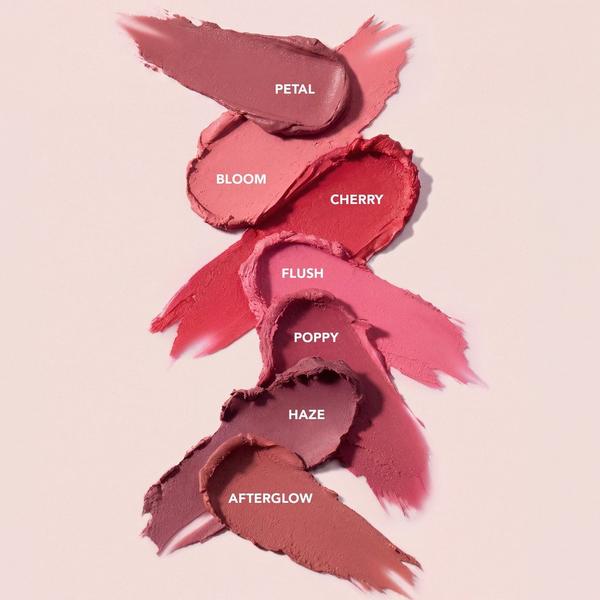 BK Beauty Skin Perfecting Blush #6