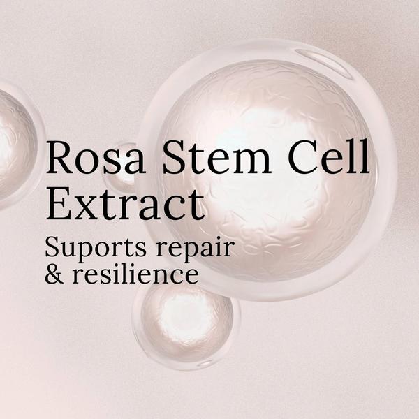 elvis+elvin Rose Revitalizing Treatment Mask 3.0 #8