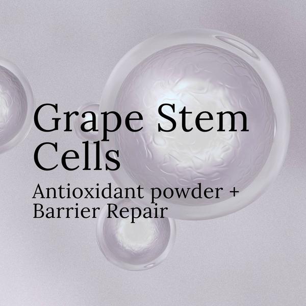elvis+elvin Grape Revitalizing Treatment Mask 3.0 #6