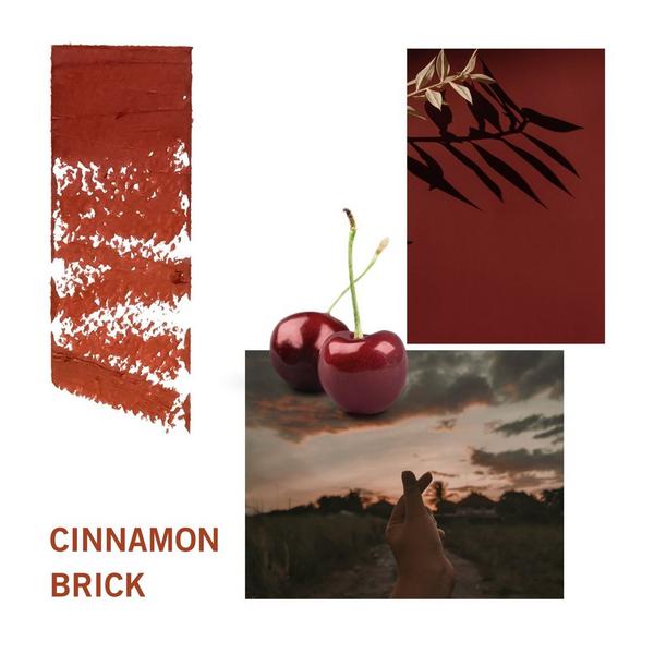 SIIA Cosmetics - M610 Cinnamon Brick Change Agent Matte Lipstick Duo ...
