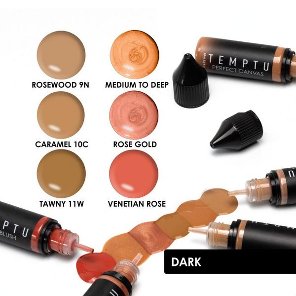 Temptu Perfect Canvas Photo Finish Makeup Set #2