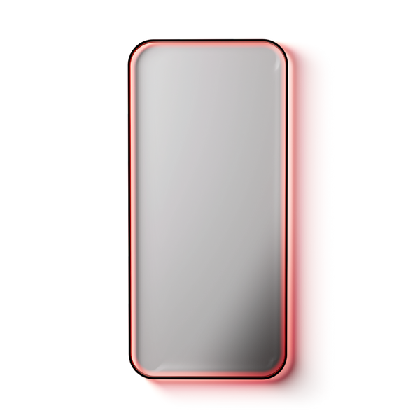 BodyGuardz Red Light Converter + Privacy #2