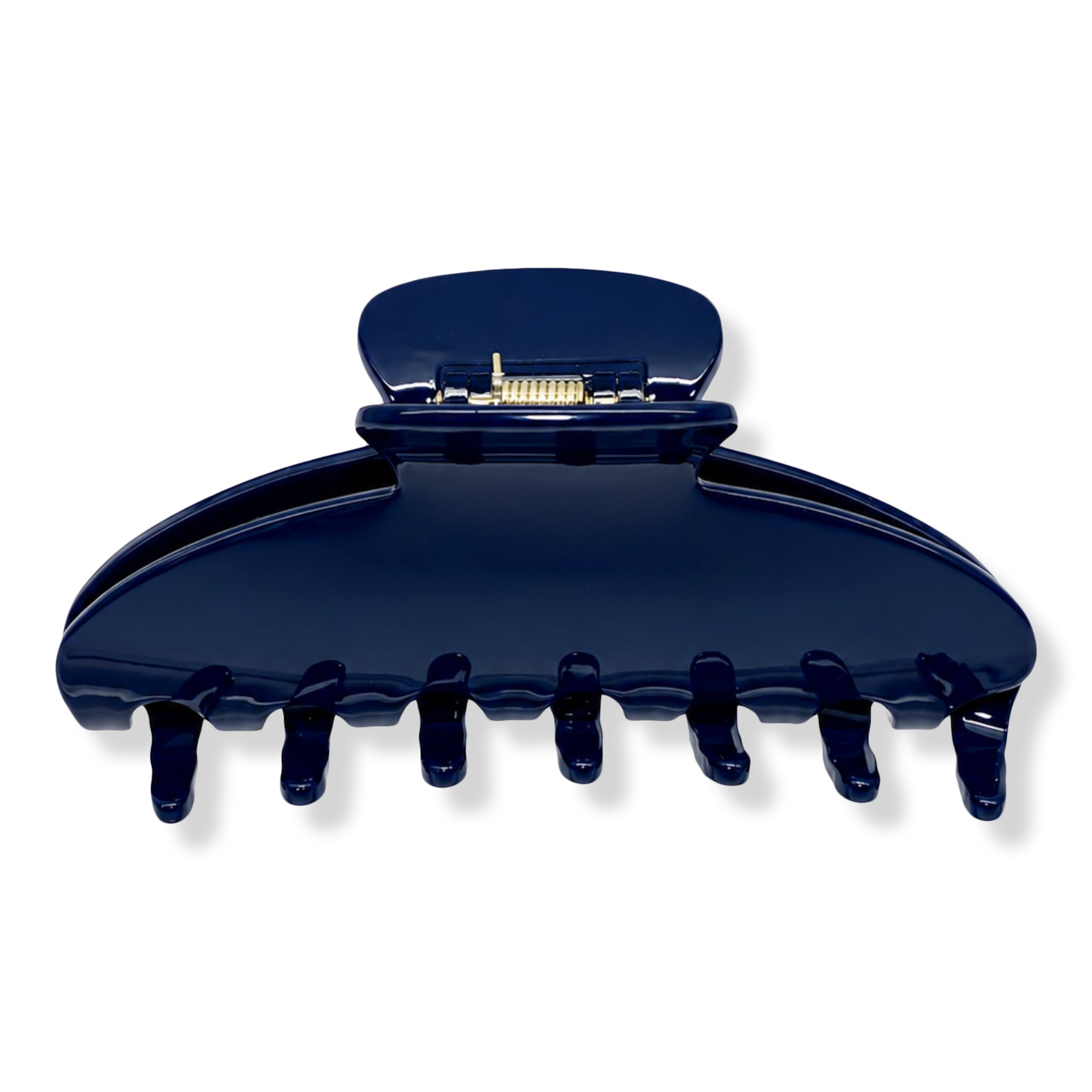 RPZL Italian Acetate Large Claw Clip #1