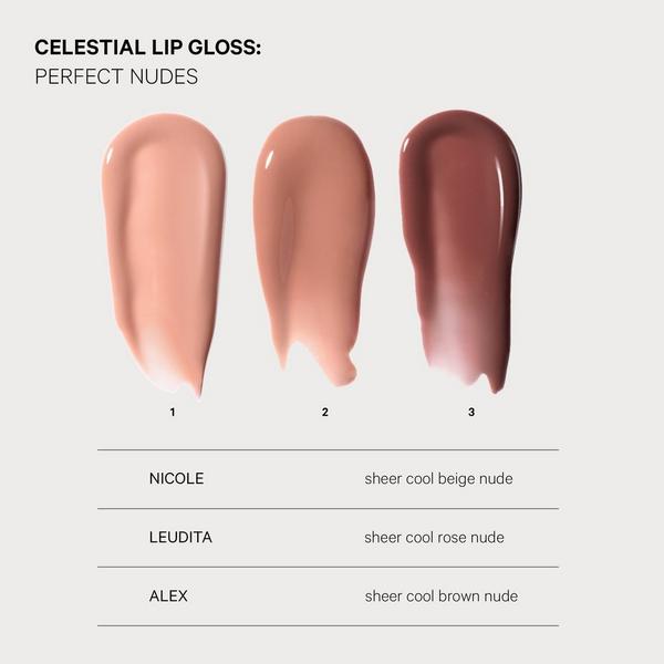 Kevyn Aucoin Celestial Lip Gloss #6
