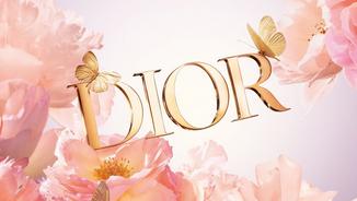 Dior Virtual Makeup: Try Our Products Online