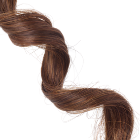 9 Boxes U-clip Hair Clip Hair Gems for Women Mini Hair Clips for Girls  Black Barrettes Updo Hair Accessories Hair for Women Hair Pin Elegant  Hairpins U Shape Hairpins Fork Grace 