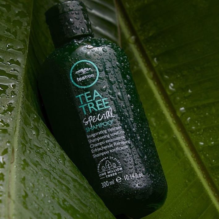 Paul Mitchell Tea Tree Lavender Mint - Planet Beauty