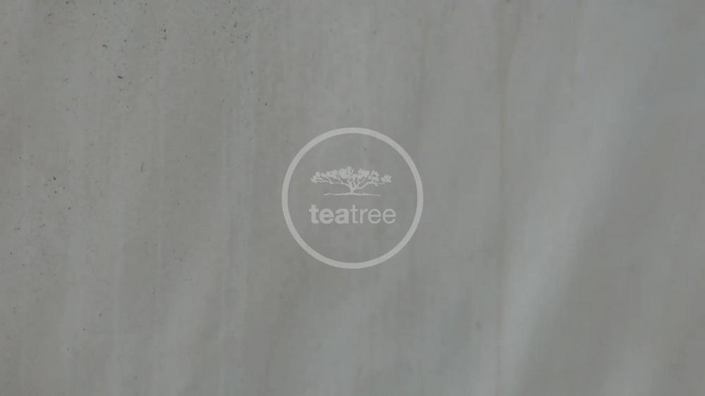 Tea Tree Lavender Mint Moisturizing Conditioner