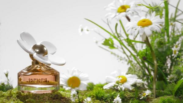 Marc Jacobs Daisy Love Eau de Toilette #9