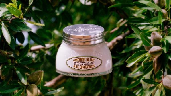 L'Occitane Almond Smoothing and Beautifying Milk Concentrate #9