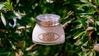 L'Occitane Almond Smoothing and Beautifying Milk Concentrate 6.9oz Body Milk