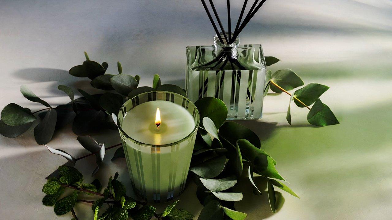 Wild Mint & Eucalyptus Tea and Candle Set - Nest Fragrances