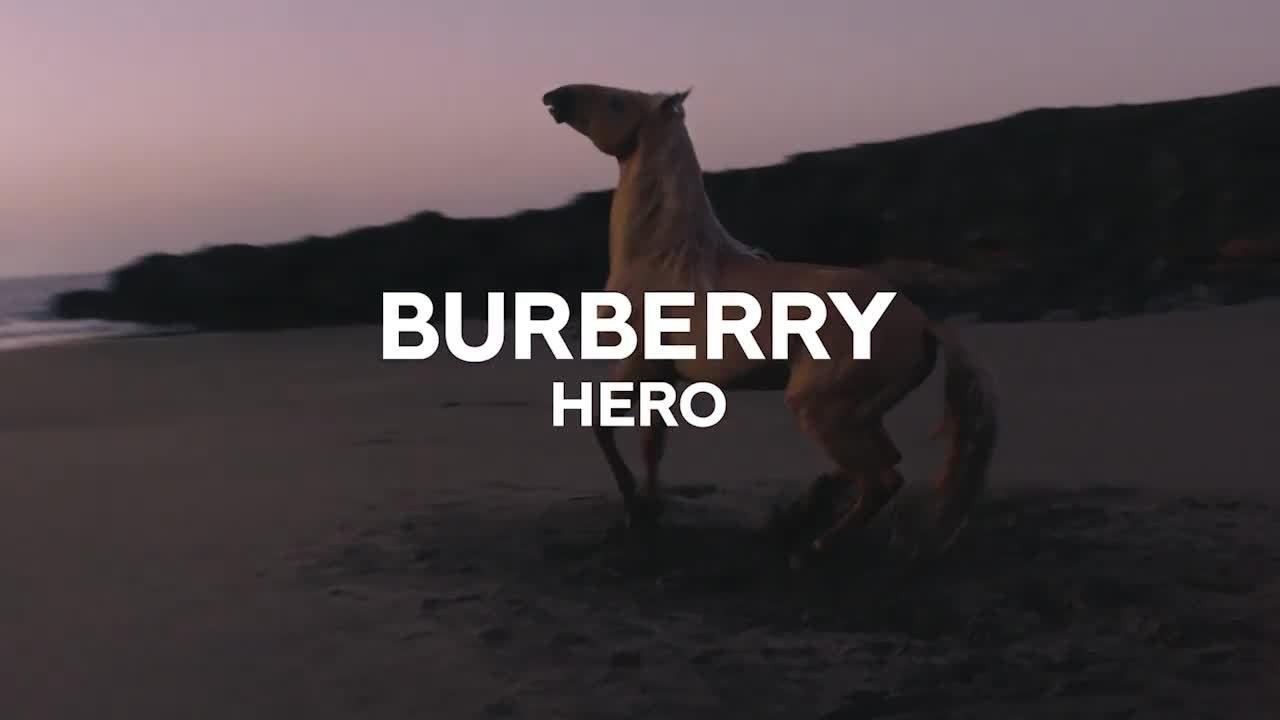 Burberry Hero Eau de Parfum 100ml - Men