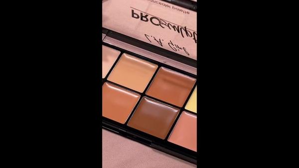 L.A. Girl Pro Sculpt Concealer Palette #5