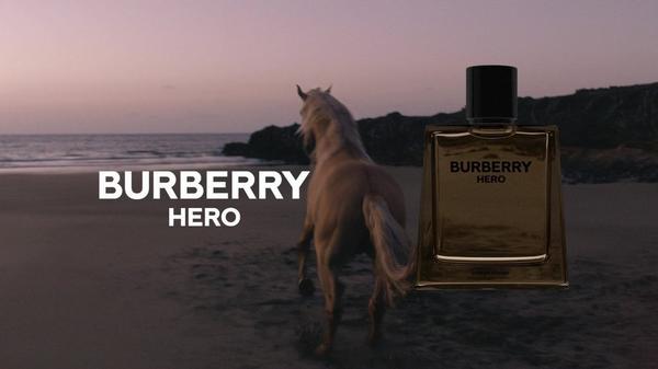 Burberry Hero Parfum Intense #10