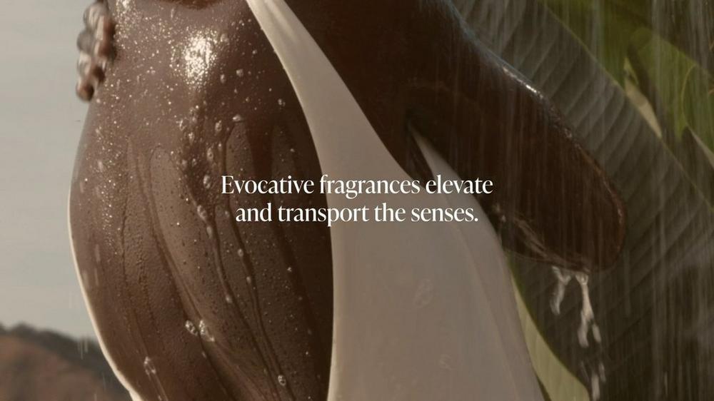 Body Wash - Santal Bloom