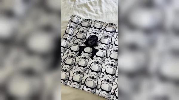 Kitsch Kitsch x Star Wars Standard Satin Pillowcase #7