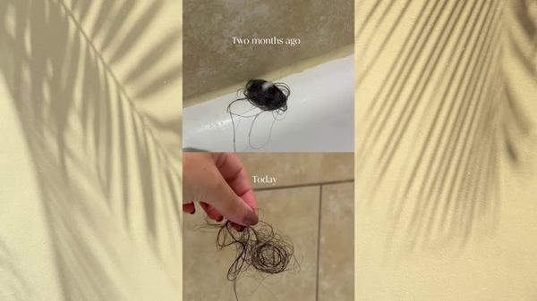 Bondi Boost HG Shed Happens Kit #9