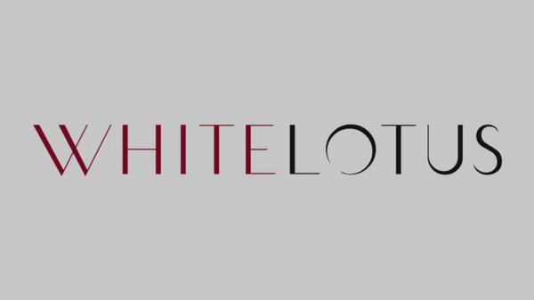 White Lotus Beauty 100% Mulberry Silk Pillowcase Cruelty Free #9