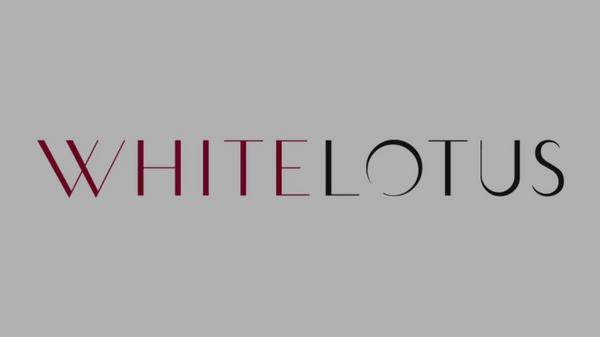 White Lotus Beauty Hair Restoration Cap 100% Silk Lined #9