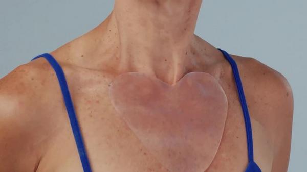 Wrinkles Schminkles Chest Wrinkle Patch #8