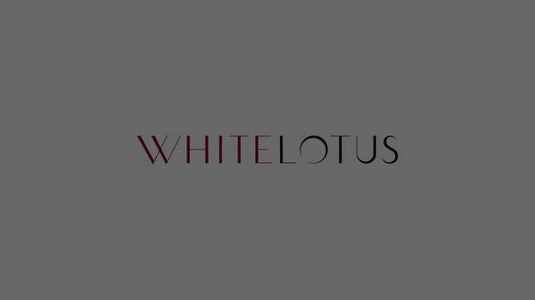White Lotus Beauty Genuine Crystal Intensive Roller Chemical Free Jade #9