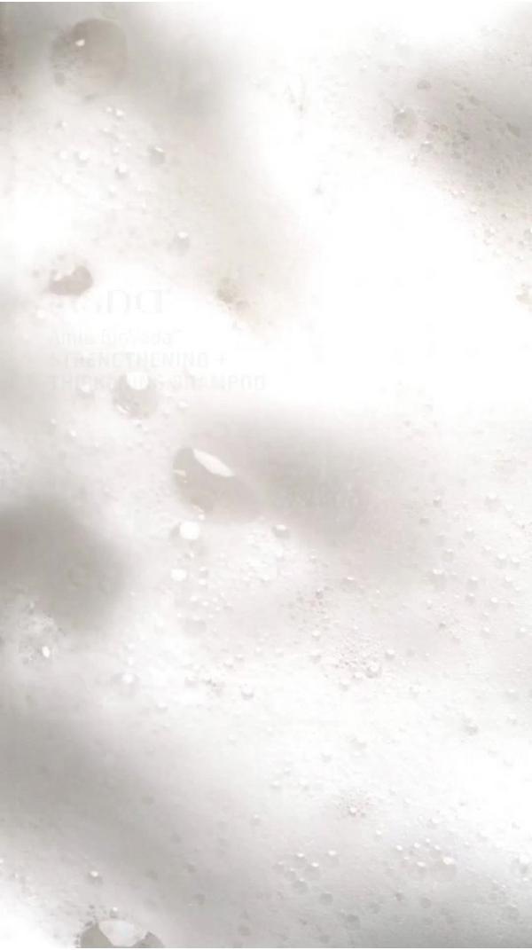 ASNA Amla BioVeda Strengthening + Thickening Shampoo #9