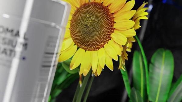 CODEAGE Liposomal Magnesium Bisglycinate with Black Pepper Extract #9