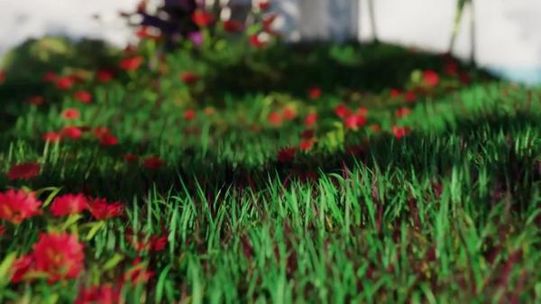 CODEAGE Women’s Fermented Multivitamin with Whole Foods & Probiotics #9