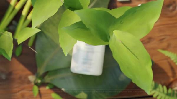 CODEAGE Liposomal NAD+ with Betaine Anhydrous #9