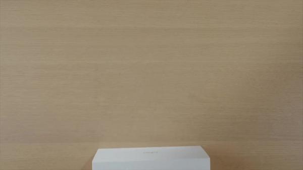 Laifen High-Speed Hair Dryer Mini #10