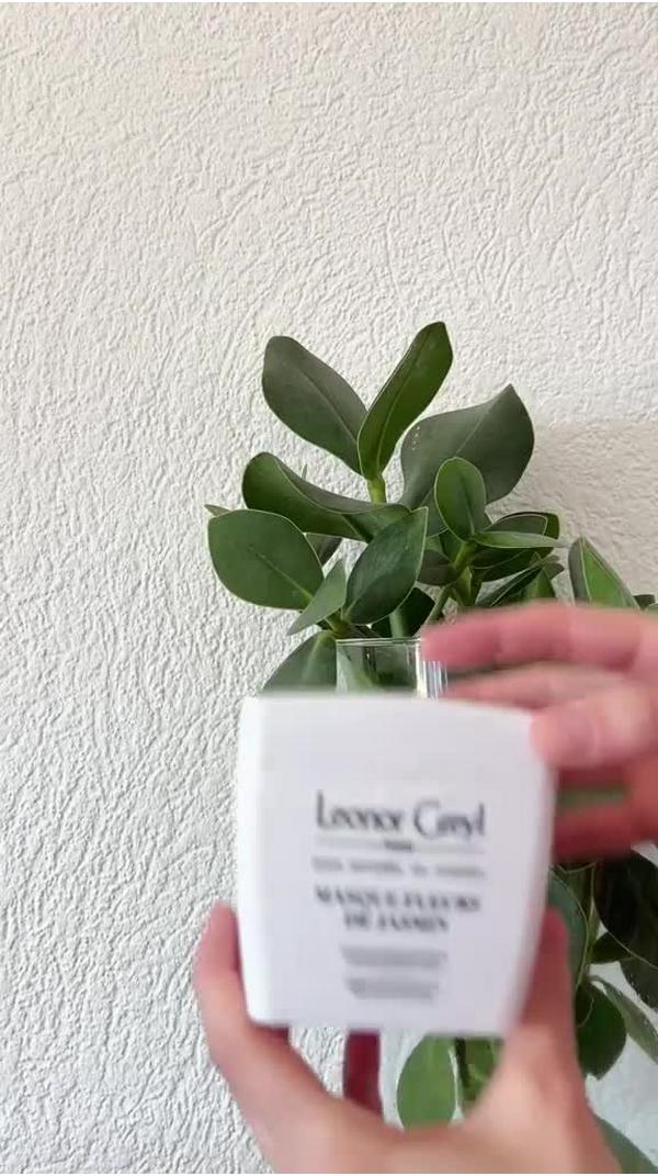 Leonor Greyl Masque Fleurs De Jasmin #5