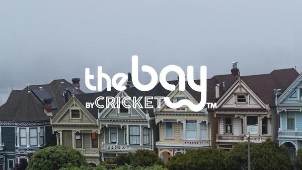 Cricket The Bay Blondie Wooden Bristles Paddle Brush #6