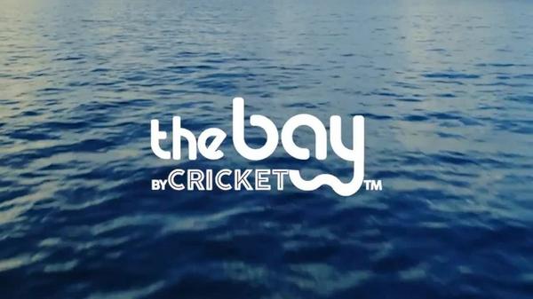 Cricket The Bay Dark Half Moon #6