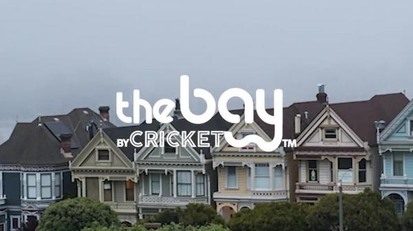 Cricket The Bay Blondie Paddle Brush #8
